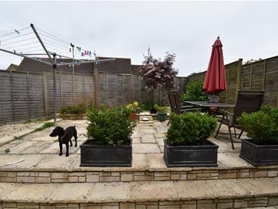 Picture 10